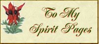 My general Spirit Pages